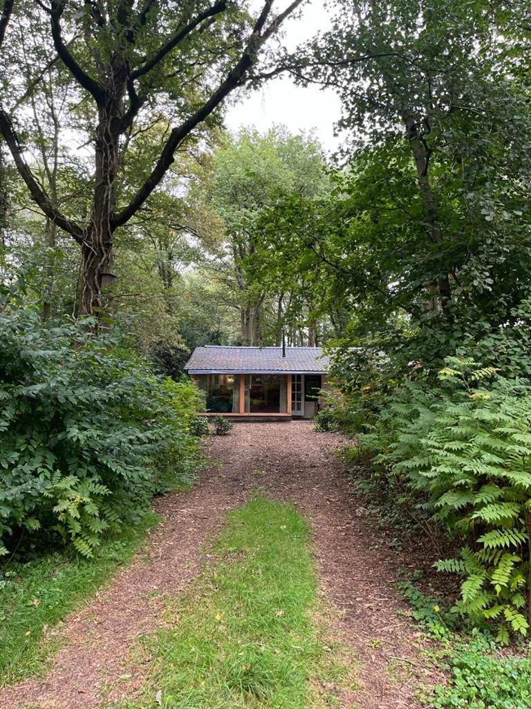 Huisje In Het Bos زاودلارن المظهر الخارجي الصورة