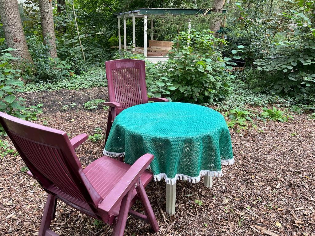 Huisje In Het Bos زاودلارن المظهر الخارجي الصورة
